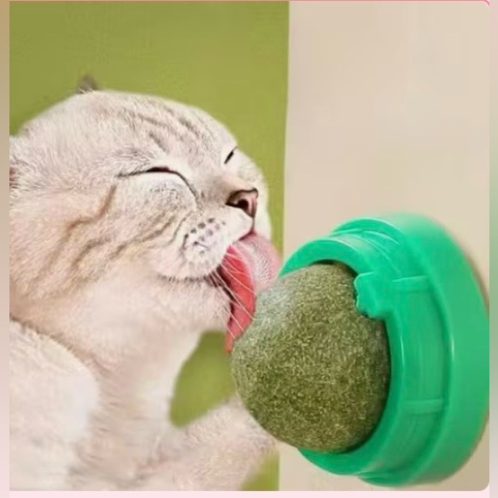 🟢 😸 Catnip Cat Licking Green Ball